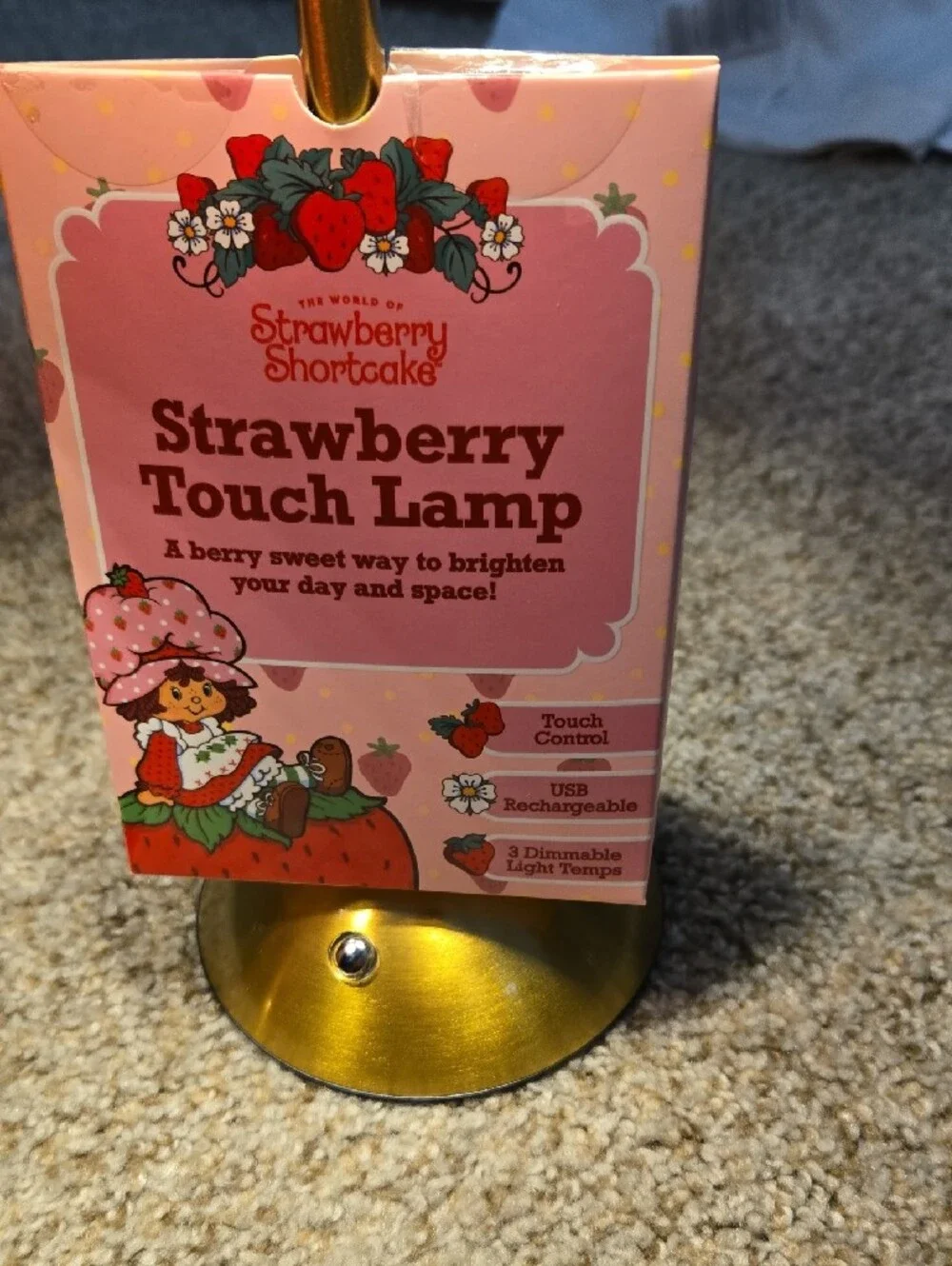 Strawberry Shortcake Touch Lamp - Pink and Yellow Glass Shade